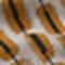 Inca Gold