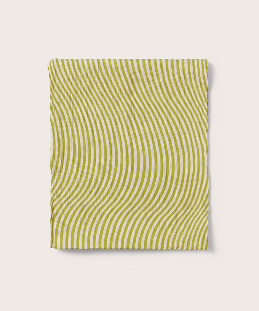 Along Scarf, Lentil Sprout