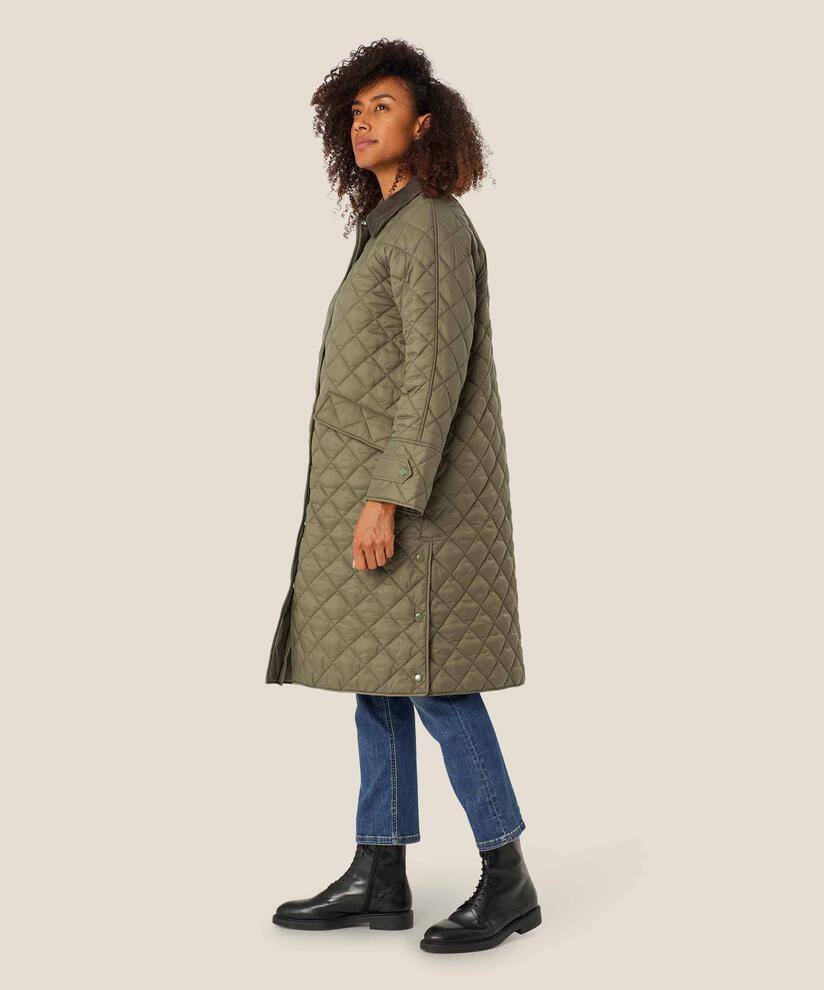 Tawny Coat, Sea Turtle