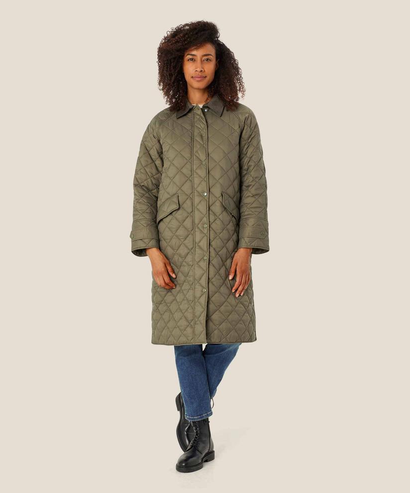 Tawny Coat, Sea Turtle