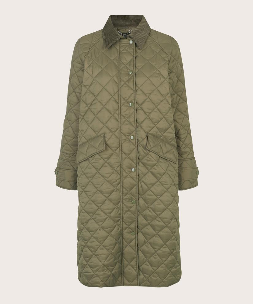 Tawny Coat, Sea Turtle