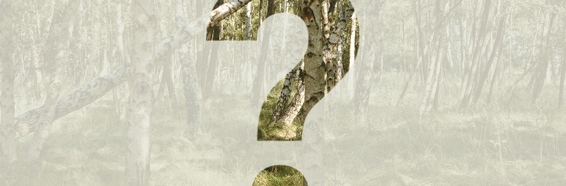 MASAI FAQ